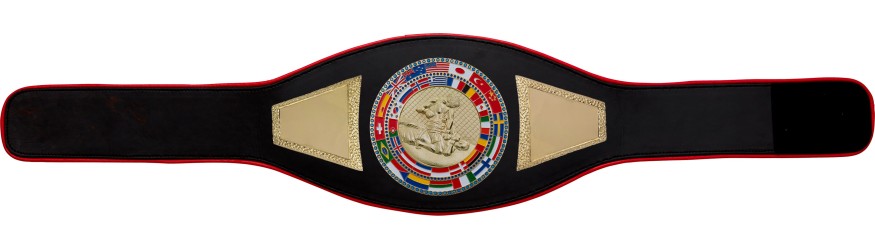 MMA CHAMPIONSHIP BELT-PROFLAG2/FLAG/G/MMAG - AVAILABLE IN A VARIETY OF COLOURS MMA CHAMPIONSHIP BELT-PROFLAG2/FLAG/G/MMAG - AVAILABLE IN A VARIETY OF COLOURS